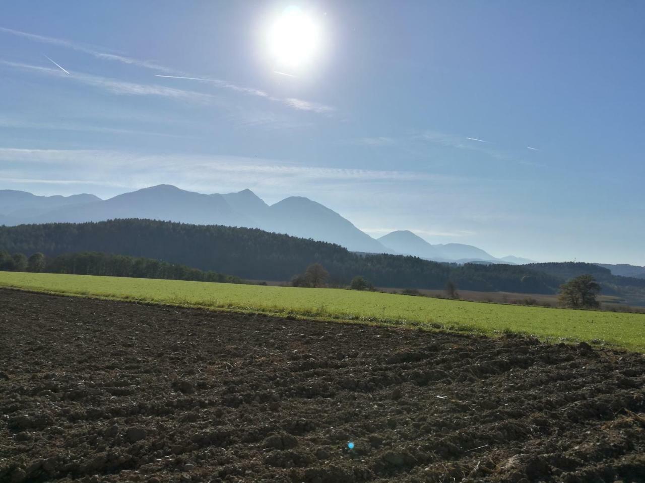 Landgasthof Piroutz Sankt Kanzian am Klopeiner See Luaran gambar